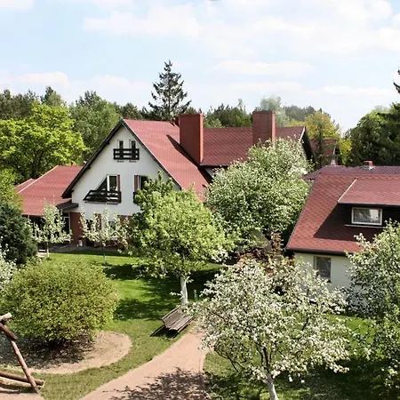 January Trzcianka (Czarnkow–Trzcianka)