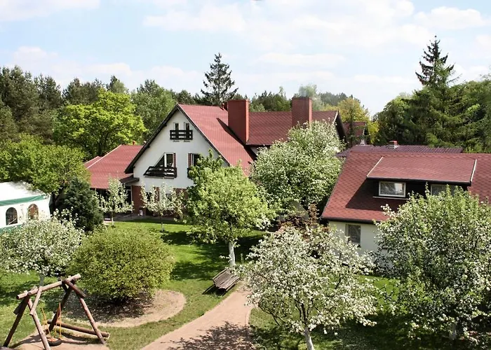 January Trzcianka (Czarnkow-Trzcianka)